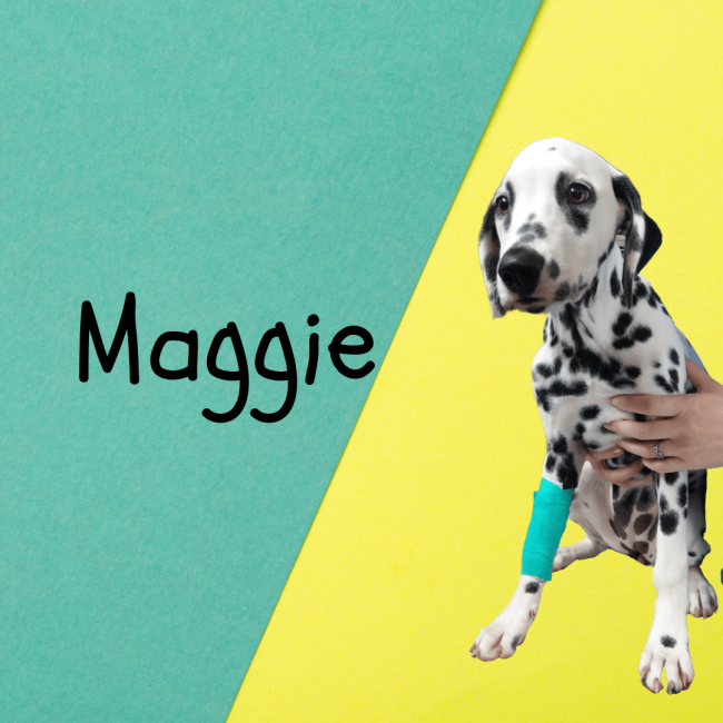 Maggie