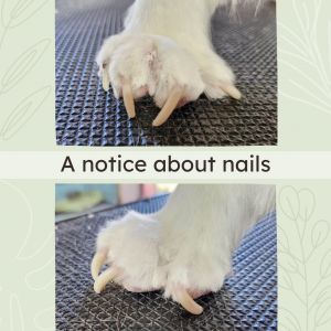 Nail Care Notice
